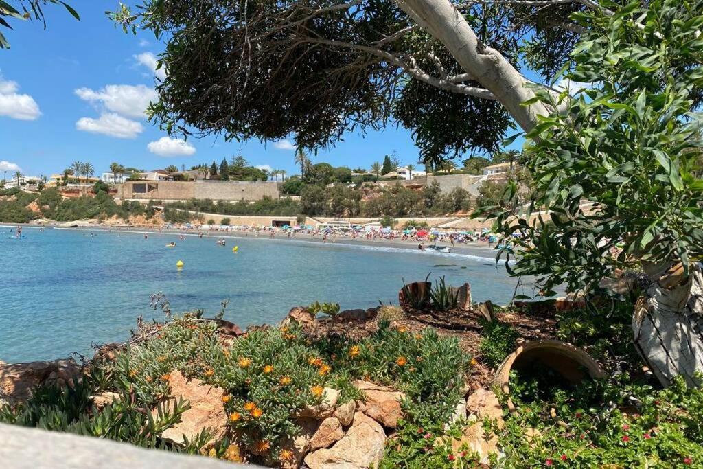 Luxury Penthouse Oasis Beach VIII Orihuela Costa Punta Prima Торрев'єха Екстер'єр фото